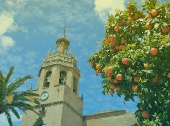 5 leuke plekjes rondom Málaga. Ga je mee?