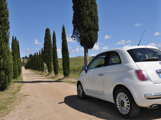4 vernieuwingen voor Sunny Cars!