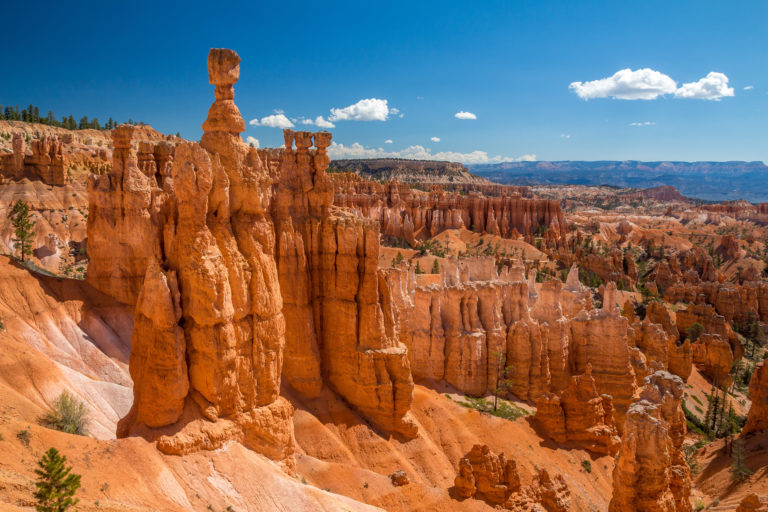shutterstock_739999840