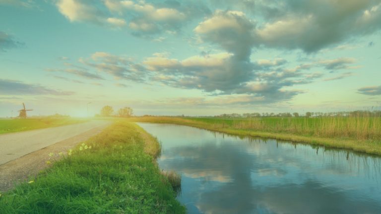 weilanden_nederland-3