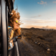6 kijktips voor het ultieme vakantiegevoel