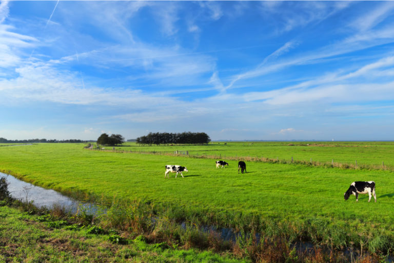 nederland-uitzicht