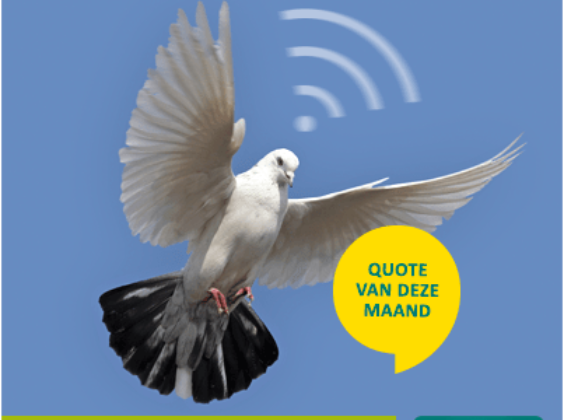 De 6 leukste quotes van december 2014