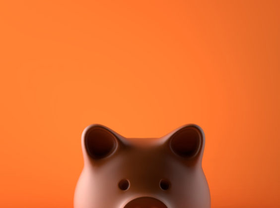 Weet wat je betaalt in euro’s met deze app