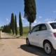 4 vernieuwingen voor Sunny Cars!