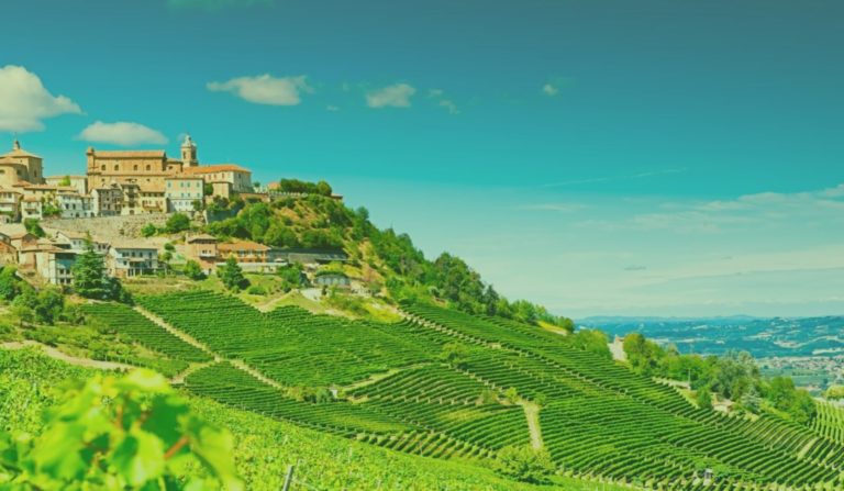 italie_barolo_wijngaard-3