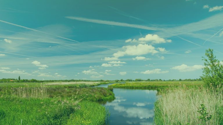 waterschap-nederland-2