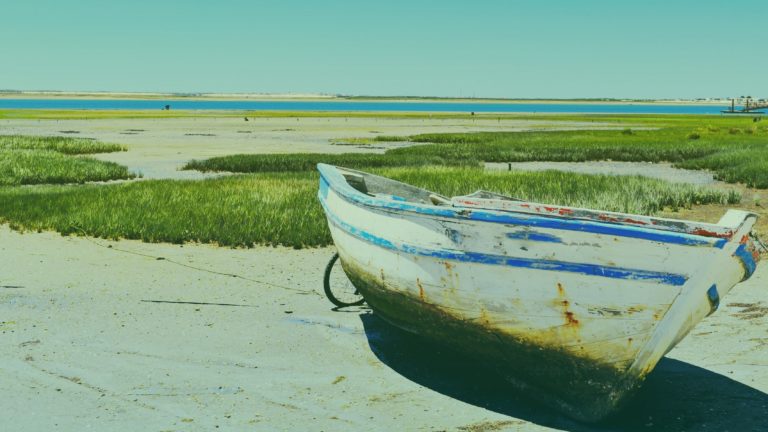 portugal_riaformosa-2