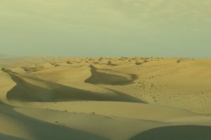 Wahiba Sands