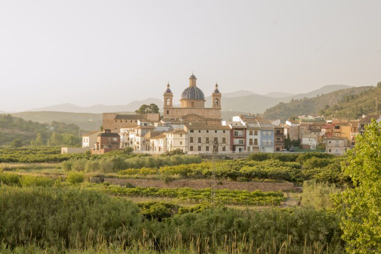 sot-de-ferrer