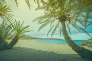 Strand met palmbomen in Griekenland
