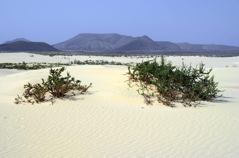 spain-fuerteventura-el-jable