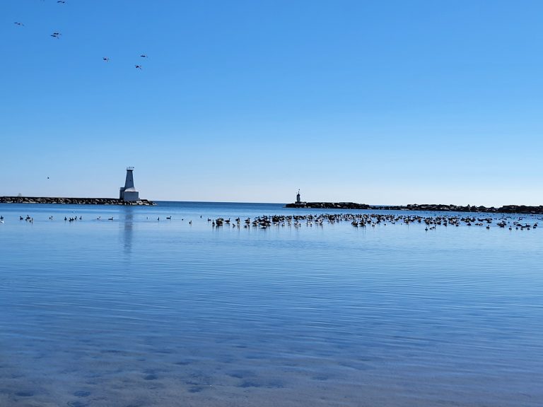 silvia-walles-cobourg-beach-4