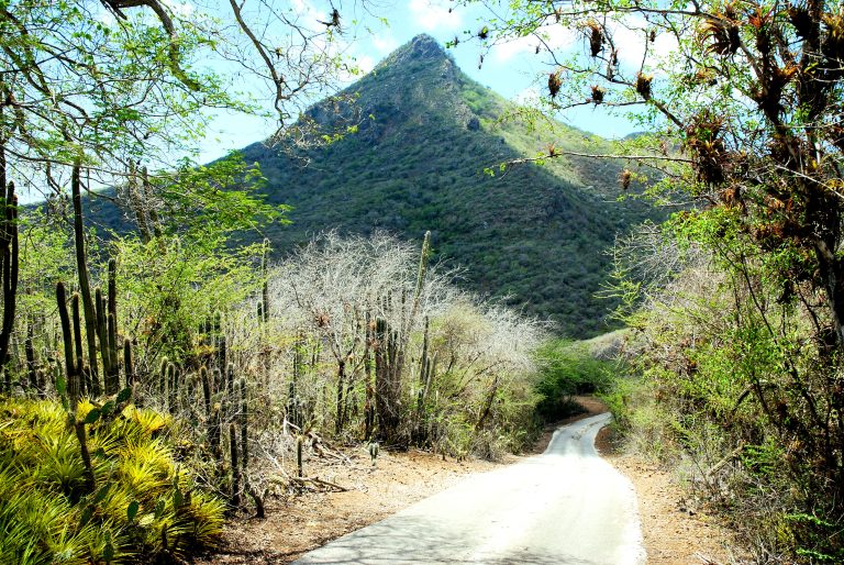 the-christoffelberg-or-mt-christoffel-curacao