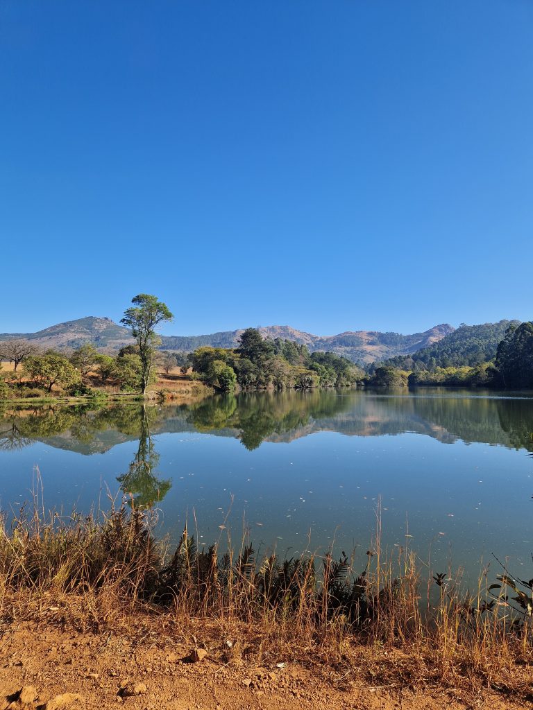 4-mlilwane-game-reserve-waar-je-zo-tussen-de-zebras-wandelt